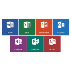 Microsoft Office 2019 - Professional Plus